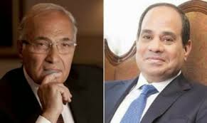 السيسي وشفيق